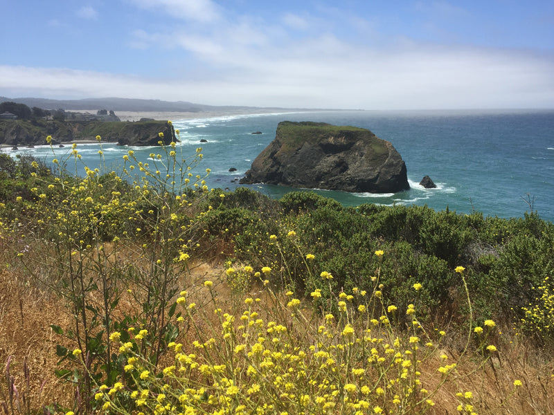 Highway One on the Mendocino Coast