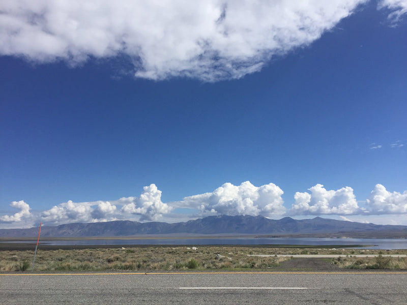 Mono Lake