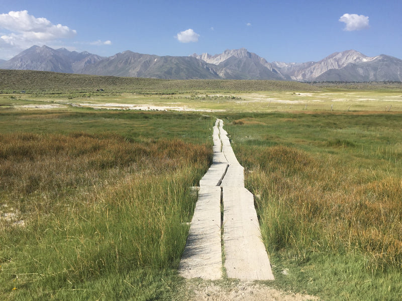 From the grasslands to the mountains